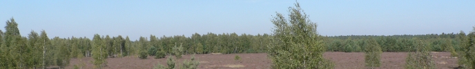 INA Lieberose, Internationale Naturausstellung Lieberoser Heide  Brandenburg